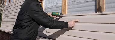 Best Vinyl Siding Installation  in Lake Lakengren, OH